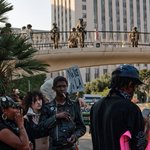 Photo by Jesse Philippe (@JesseP4Florida)