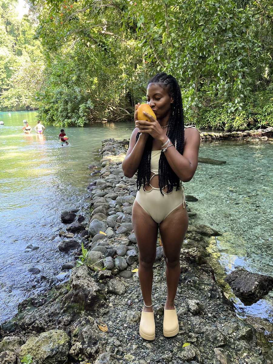 Where did my mango ?