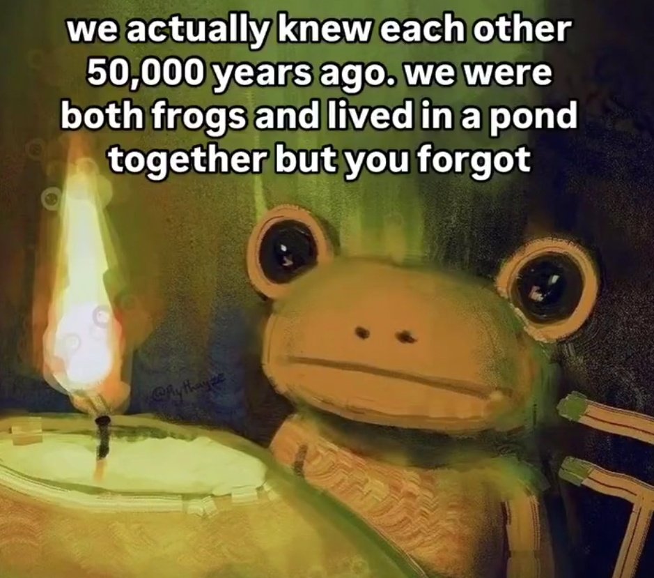nocontextfrogs's tweet photo. https://t.co/mmTXo8BK0K
