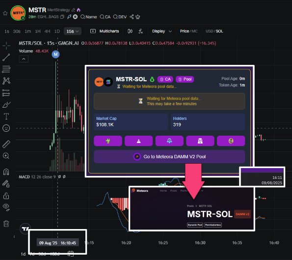 Rocket Scan 인터페이스에서 MSTR-SOL 풀 정보 표시