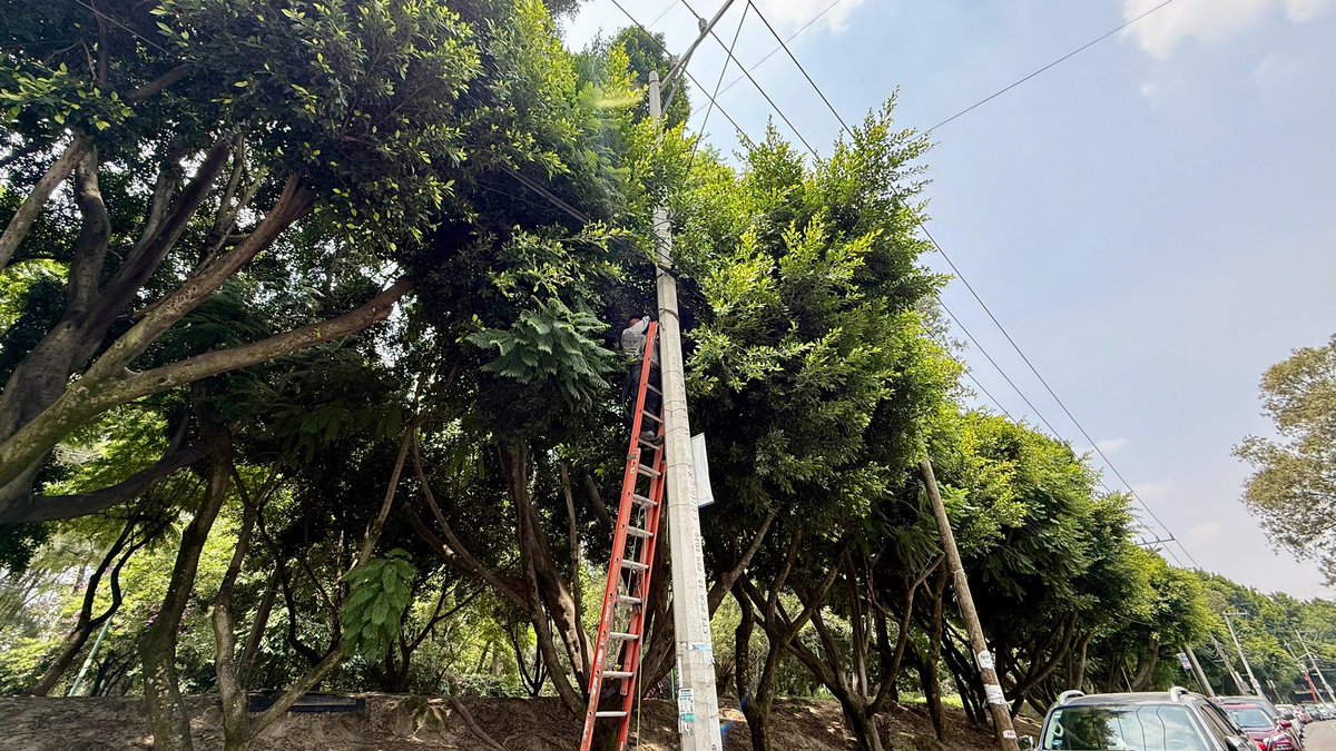 Giovani Gutiérrez tweet media