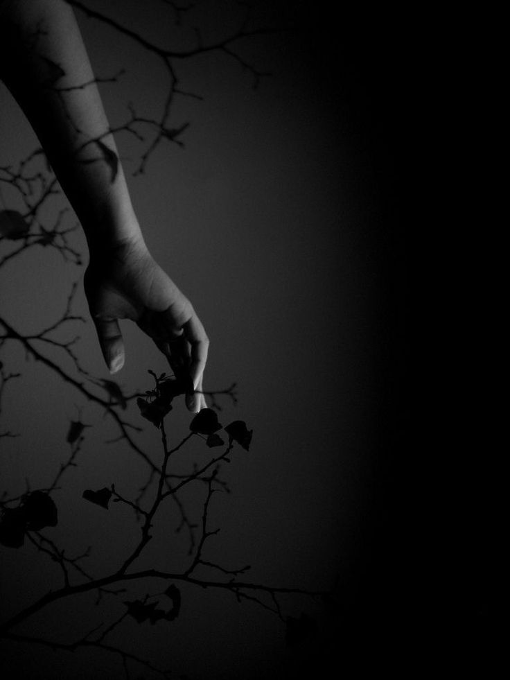 Lady Cobalt Eyes (@ladycobalteyes) on Twitter photo #aigabell
#poetry
#lullaby
#FireWriters35
<a href="/FireWriters35/">FireWriters35</a>
I love you from afar
Shining so bright
Through dark waves lines
It's hard to wait like this...
Not knowing how it will be
But I love each of our separate minutes #aigabell
#poetry
#lullaby
#FireWriters35
<a href="/FireWriters35/">FireWriters35</a>
I love you from afar
Shining so bright
Through dark waves lines
It's hard to wait like this...
Not knowing how it will be
But I love each of our separate minutes