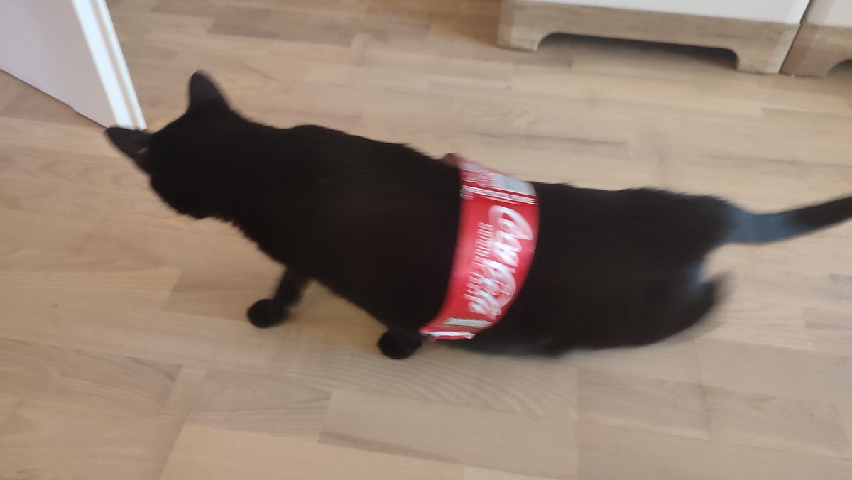 MarieOrk's tweet photo. Magic: turned a Coca-Cola bottle into a familiar https://t.co/1oBFRuX9xD