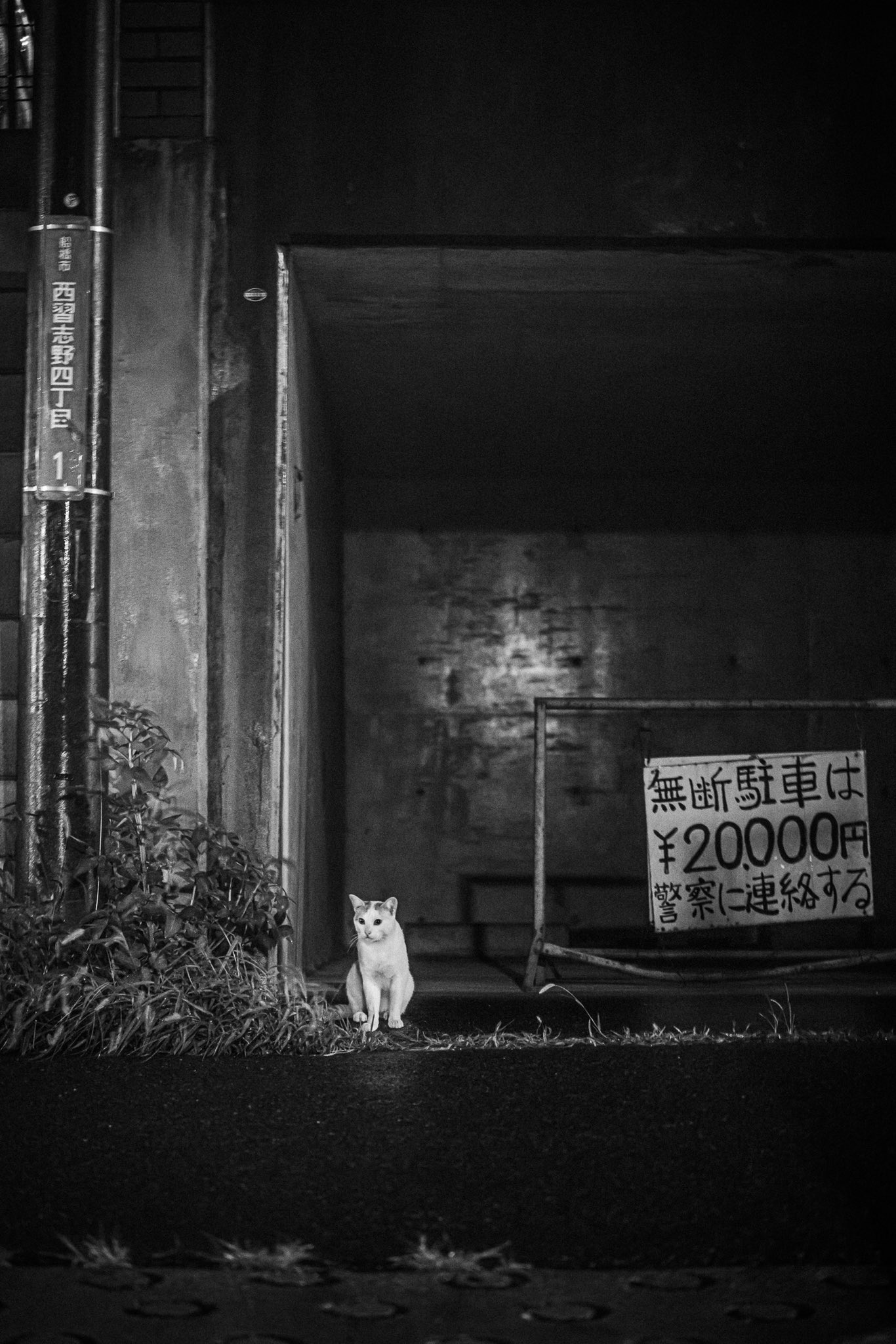 まりりん♡おもしろ雑貨シリーズ 跳び かずりん📸 on X: 