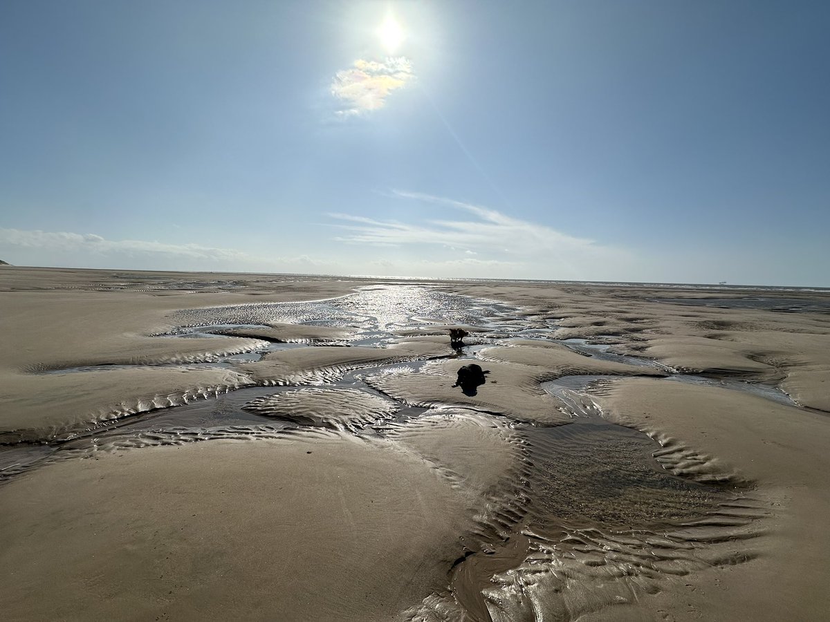 68 #NHS1000miles walked this week by the 🌊 and inland in the woods 🌲