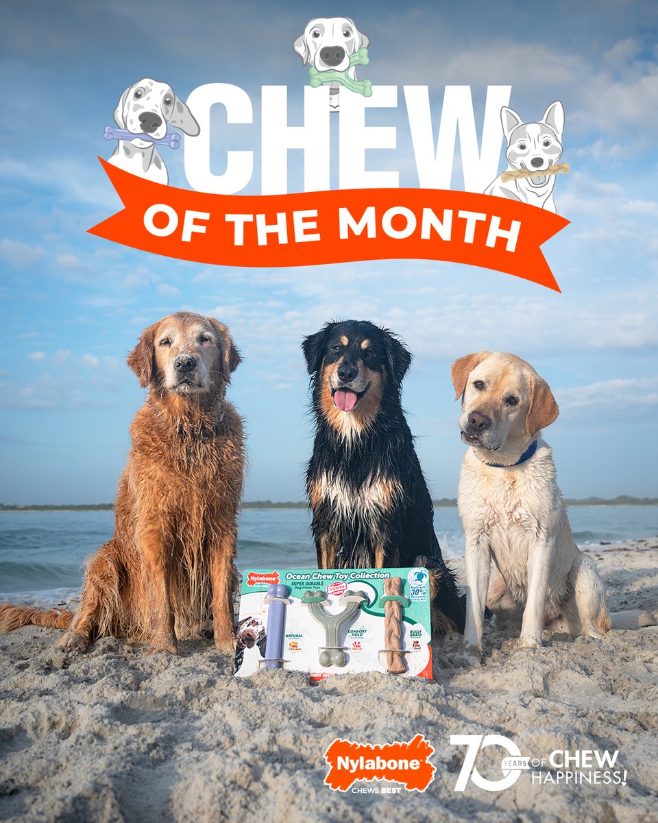 ⭐ Ocean Chew Toy Collection⭐

♻️ Made from 30% reclaimed fishing nets
🚯 Removed 100,000 lbs. of ocean waste—so far!
3️⃣ Triple the fun with 3 chew toys

Get yours exclusively at <a href="/Costco/">Costco</a> (plus, save $5 through 8/17)!

#Nylabone #recycle #costco #costcofinds #costcodeals