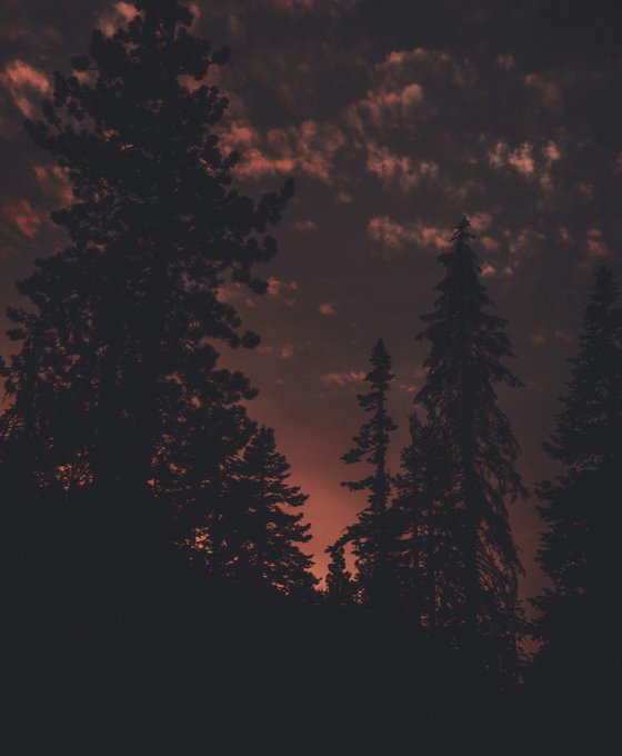 Sunset in Yosemite National Park Photography by Vincent Battaualt