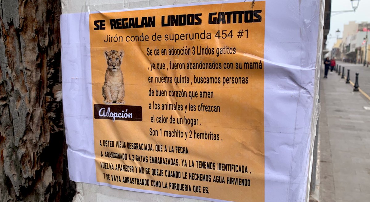 Toda la información está en los muros. Lima.