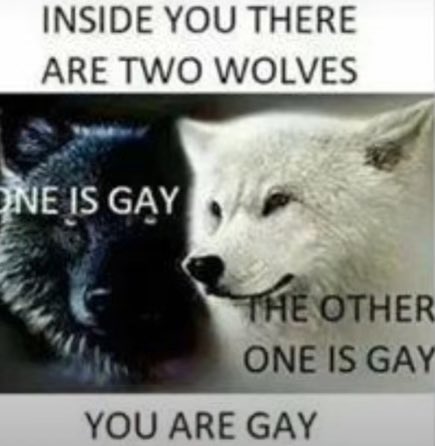 <a href="/hopedave17/">Dave “Memethusiast” Hope</a> <a href="/parody_nutz/">parody’z nutz</a> <a href="/klem1544/">Klem</a> <a href="/anonnewsfeed1/">TheAnonLebowski</a> <a href="/LawlessNik/">nik lawless</a> <a href="/Taberisagrunt/">bravo-go-bang-bang</a> <a href="/ImnotPaulsie/">No Content</a> <a href="/atriskute/">Free Wheeler</a> <a href="/IamtheCLAW/">CLAW-UNSMIDGABLEY SMIDGING</a> <a href="/TheOtherRene2/">TheOtherRene2</a> <a href="/ELS2359/">ELS13818 3 eyed at least Edition</a> <a href="/Realafks/">Lee Vallier</a> <a href="/KellTheDude502/">Kell</a> <a href="/PaulTho47290238/">Paul Thompson</a> <a href="/crankyfucker/">Pete. Eurotrash appreciator</a> <a href="/expensiveread96/">expensive-read96</a> <a href="/sunshinyday17/">liz alice</a> <a href="/theratiowhale/">theratiowhale</a> <a href="/KaneJen29573064/">Mr Fren</a> <a href="/OoTheMessiahoO/">XxTheMessiahxX</a> <a href="/SeanCamCarroll/">Sean</a> <a href="/CindyinSDakota/">Cindy</a> <a href="/Lex_Sluethor/">Lex Sluethor</a> <a href="/MattMoranNJ/">Matt</a> <a href="/BoominFree/">AZPatriot🇺🇸</a> <a href="/SergeDeNovo/">Serge 🇷🇺 🇺🇸 ✝️ 🏴‍☠️ 🐸</a> <a href="/meinthread/">Steve</a> <a href="/zspacepro3d/">Digital Artwork by Russell</a> <a href="/AnonLebowski/">Sheriff Lebowski</a> <a href="/Rope_Stool/">Ågent Mumbly</a> <a href="/ClipDickikowits/">ClipDicKikowits</a> <a href="/phallicposter/">Steve</a> <a href="/DarthVa61830626/">HATE</a> <a href="/TristramWeberg/">Tristram Weberg</a> <a href="/gosnitchbitch/">X President</a> <a href="/bobbyjames41947/">ERIC VON TRAVINHAUF</a> <a href="/JoshuaEberly1/">king of the tendies</a> <a href="/shortdick1717/">Richard Short</a> <a href="/AirgunB/">Airgun Bubba</a> <a href="/wawejo187416/">wawejo</a> <a href="/IAmTheFly2/">🔚Dream👁State🔜</a> <a href="/CatGodthecat/">CatGod</a> <a href="/wiledac44/">wiledac44🔥🌊</a> <a href="/IzzyMandlebaum/">The Notorious SOB</a> <a href="/MarkDel56079180/">Hullabaloser</a> <a href="/raisedinontario/">Chris</a> <a href="/J_R_Sastre/">Masterhater</a> <a href="/0hHarbor/">disturbed</a> <a href="/AynRandCultist/">Ayn Rand Cultist (A is A)</a> <a href="/DefiantDiss/">DefiantDissidents \\\</a> Get harder!😉