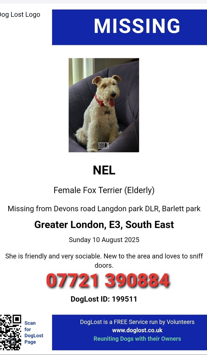 🐕 #urgent elderly #missing NEL fox terrier- new to the area.
She was lost on 10 August 2025 in Devons road Langdon park DLR, Barlett park #London #E3 
She was wearing a red collar with name tag.
Please call asap if seen! #stolendoghour