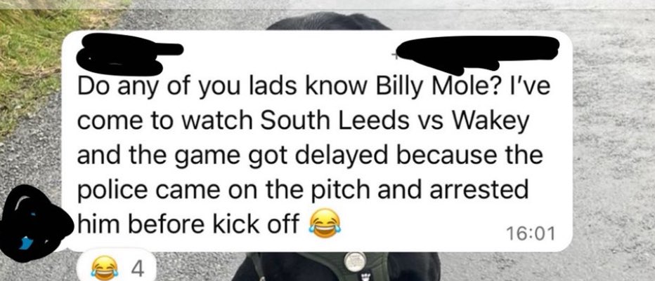 Delay in kick off because one of your players has been arrested is peak Non League football😂😂😂
