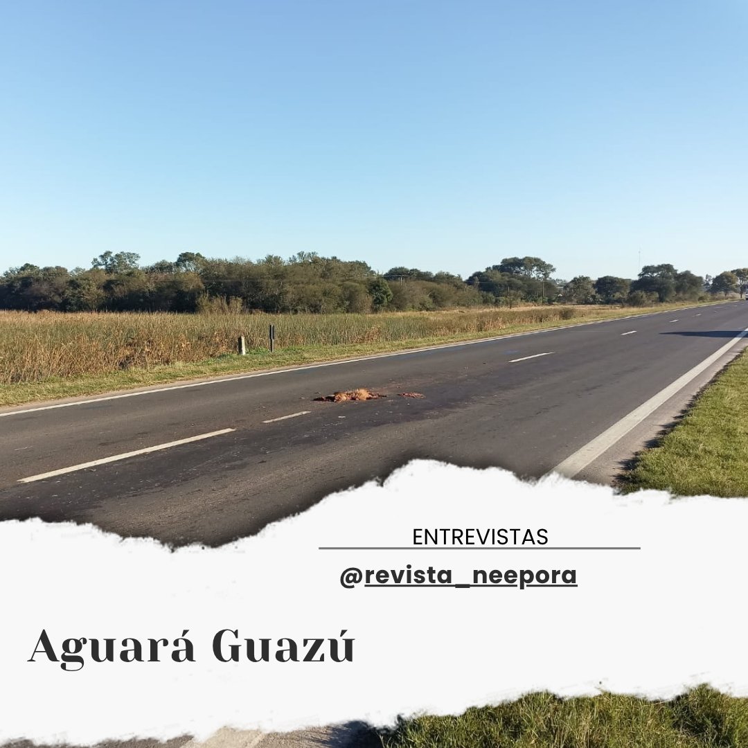 Se apagaron las estrellas para un Aguará Guazú. #Entrevista en 
ñeepora.com.ar/2025/08/se-apa… #aguaráguazú Patricio Cowper-Coles