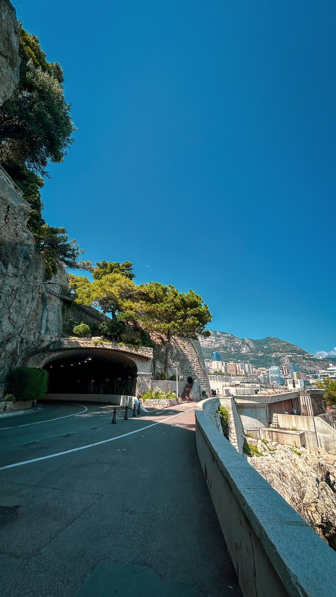 Gizu_Coaster tweet media