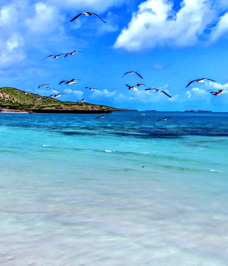 mometov's tweet image. Hidden Somalia 🌊🏝️ — Discover pristine, untouched beaches along Somalia’s Indian Ocean coastline, a true hidden gem waiting to be explored. #SomaliaRising
