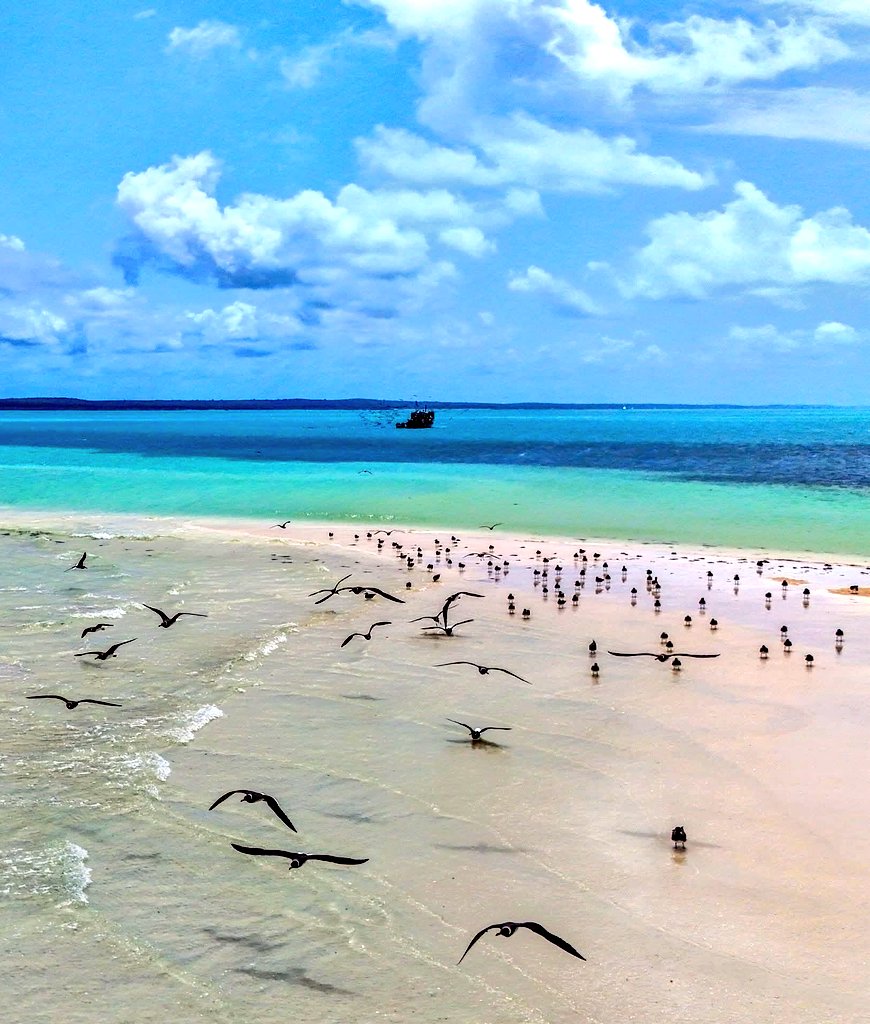 mometov's tweet image. Hidden Somalia 🌊🏝️ — Discover pristine, untouched beaches along Somalia’s Indian Ocean coastline, a true hidden gem waiting to be explored. #SomaliaRising