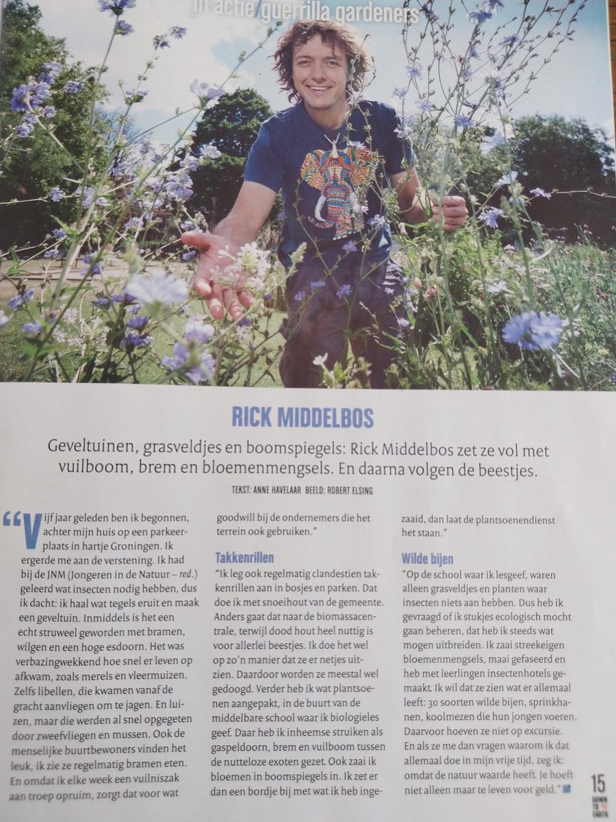 HermansHoning's tweet photo. #GuerillaGardeners #RickMiddelbos
#Natuur #AlleKleineBeestjesHelpen
Geveltuinen,grasveldje en boomspiegels,Rick zet ze vol met #vuilboom #brem en #bloemenmengsels (streekeigen) en daarna volgen de #beestjes #wildebijen https://t.co/YPCTmdwwJ8