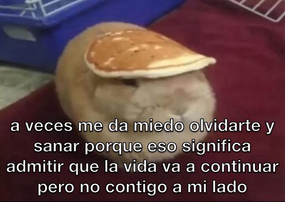 conoloracigarro's tweet photo. https://t.co/fTm0sD7Ndi
