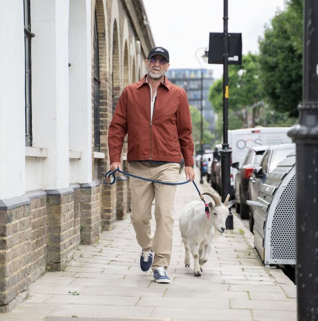 ManUnitedMedia's tweet photo. Only Eric Cantona can casually walk his goat around London.. 🐐 

Legend. https://t.co/SVr6KUxm3T