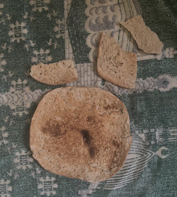 FATHER FROM GAZA 🇵🇸🍉 tweet media