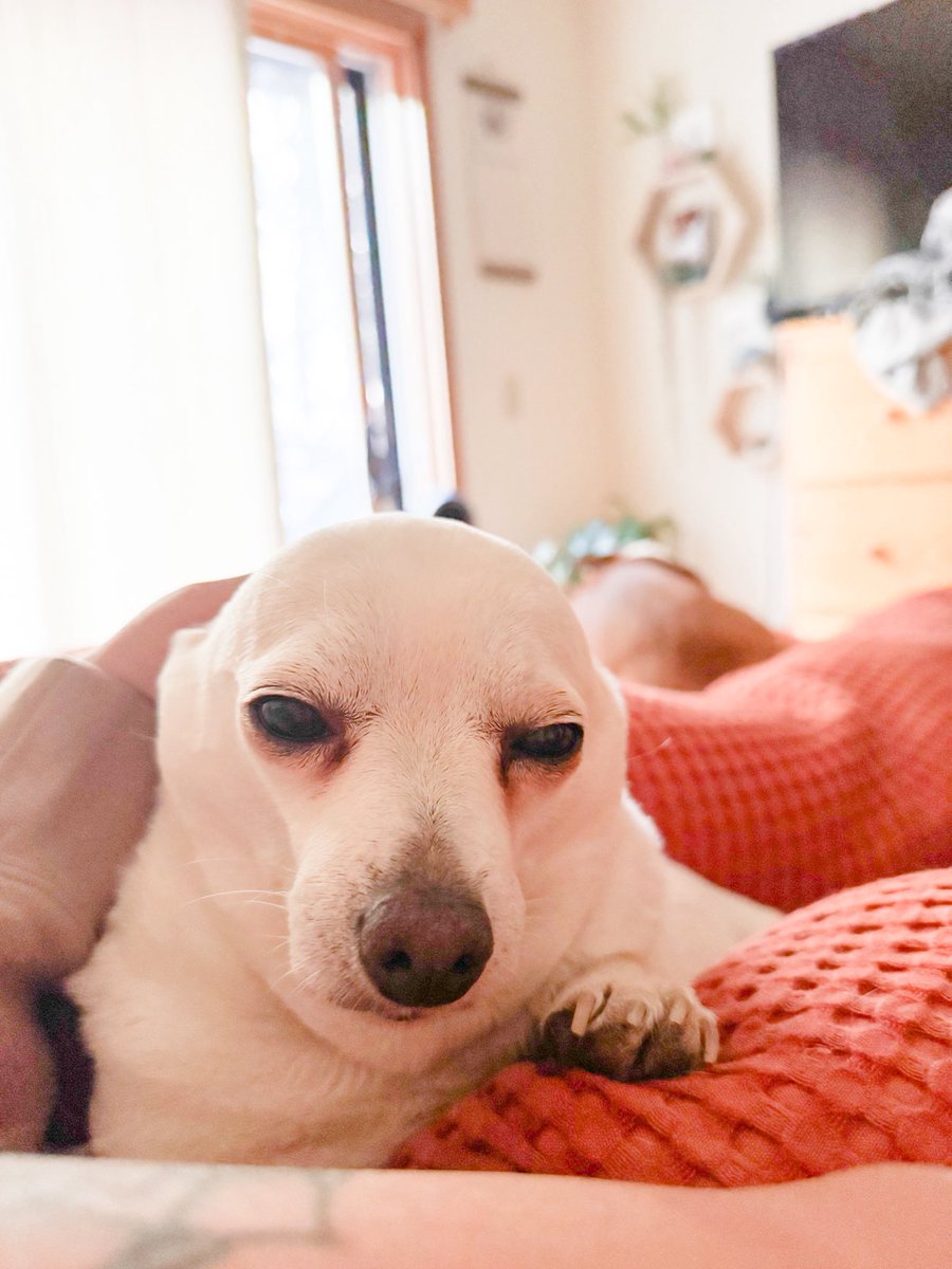 Mr. Worldwide lookin’ ass