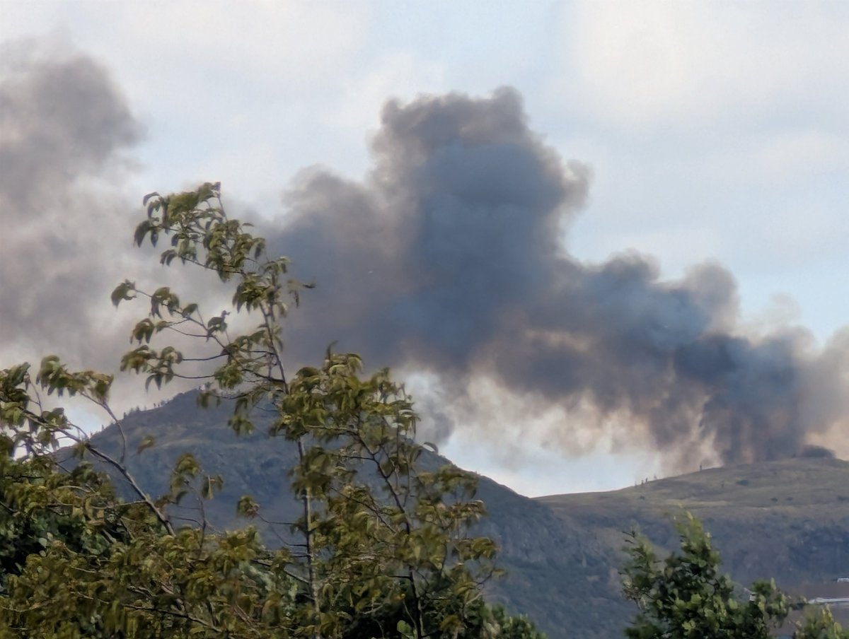 Dr Mark Wright tweet media