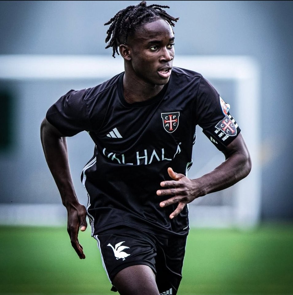 Piotr Wachowski tweet media