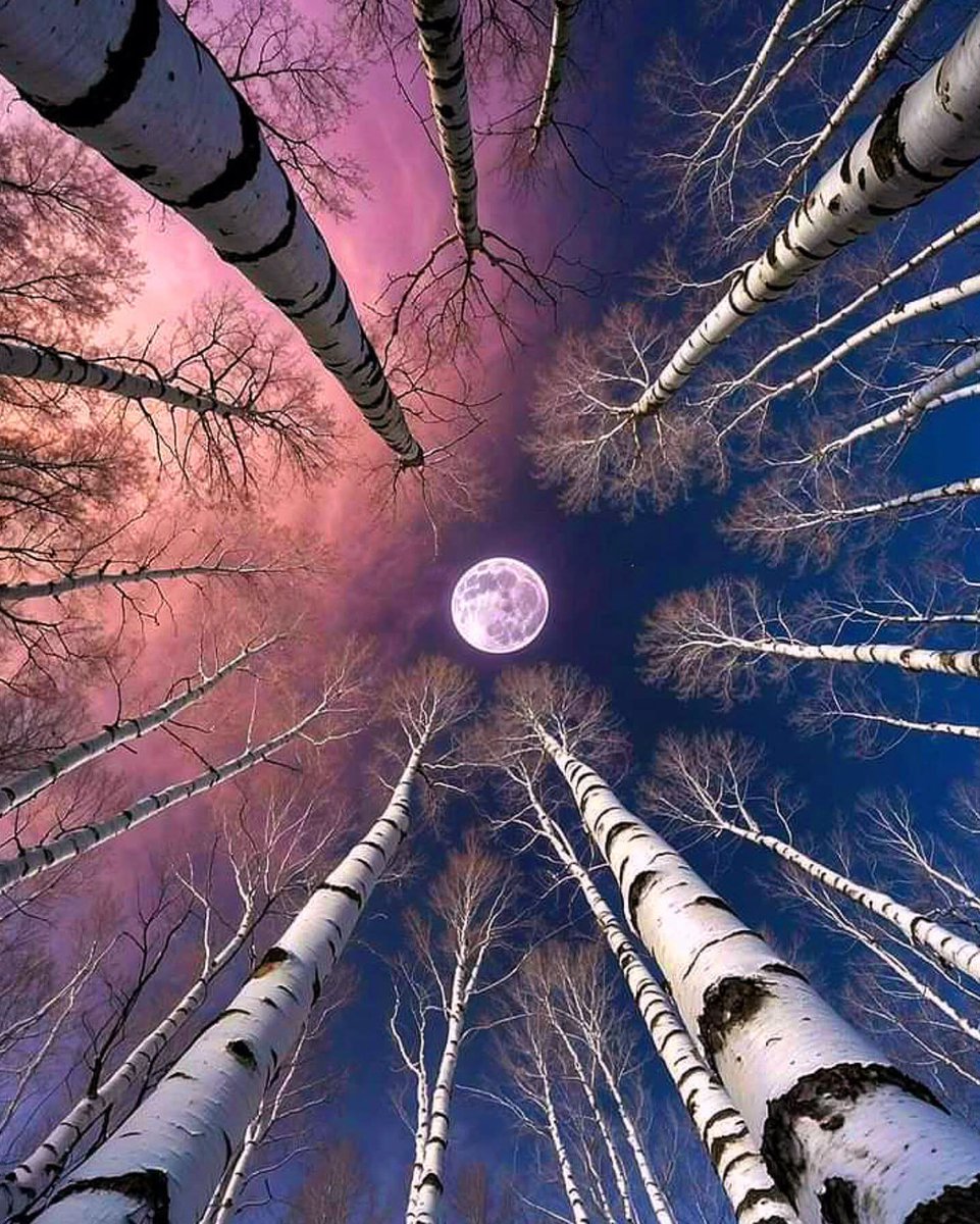 Schönen Abend  ❣❣❣