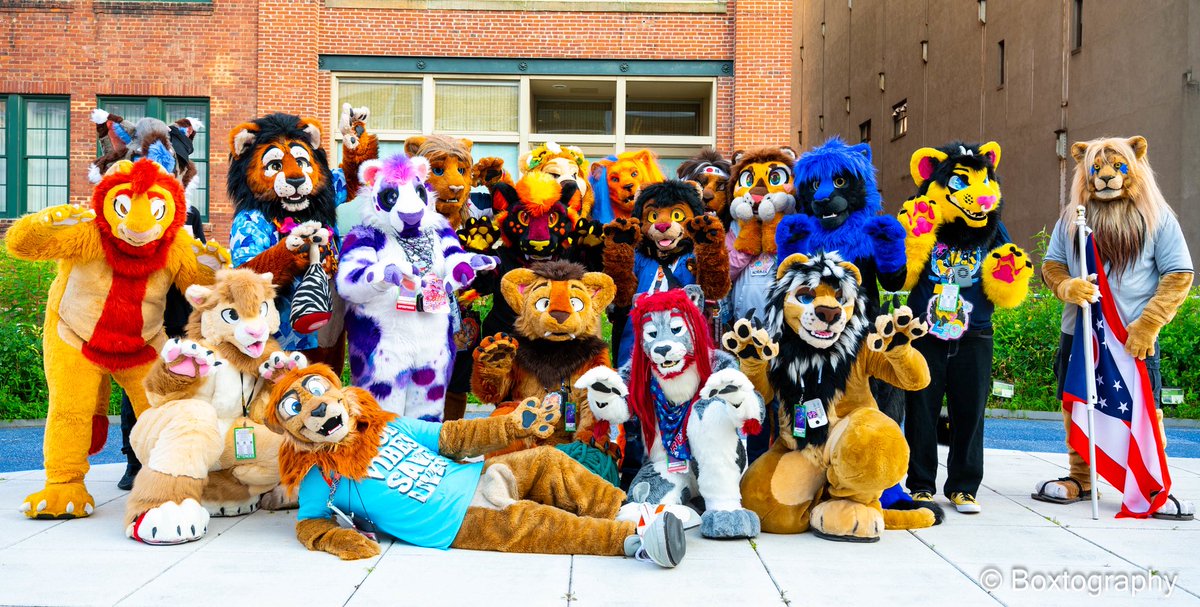 kijani_lion's tweet photo. Happy #WorldLionDay2025!

I feel so fortunate to have met amazing Lions from around the world, and every corner of the USA, at Anthrocon &amp; other cons.

Sharing that bond, that love for the species that inspired our characters makes our fandom so special ❤️

📸 @dethbox
#LionDay https://t.co/ezqmIw5yeI