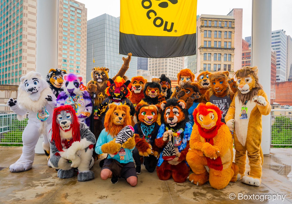 kijani_lion's tweet photo. Happy #WorldLionDay2025!

I feel so fortunate to have met amazing Lions from around the world, and every corner of the USA, at Anthrocon &amp; other cons.

Sharing that bond, that love for the species that inspired our characters makes our fandom so special ❤️

📸 @dethbox
#LionDay https://t.co/ezqmIw5yeI