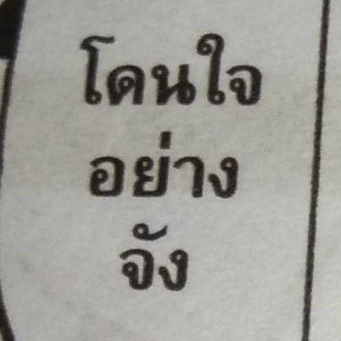 𐙚 หมาเข๋ว (รนจ, yellow 🐈‍⬛ ྀི) (@lilypinktokim) on Twitter photo 