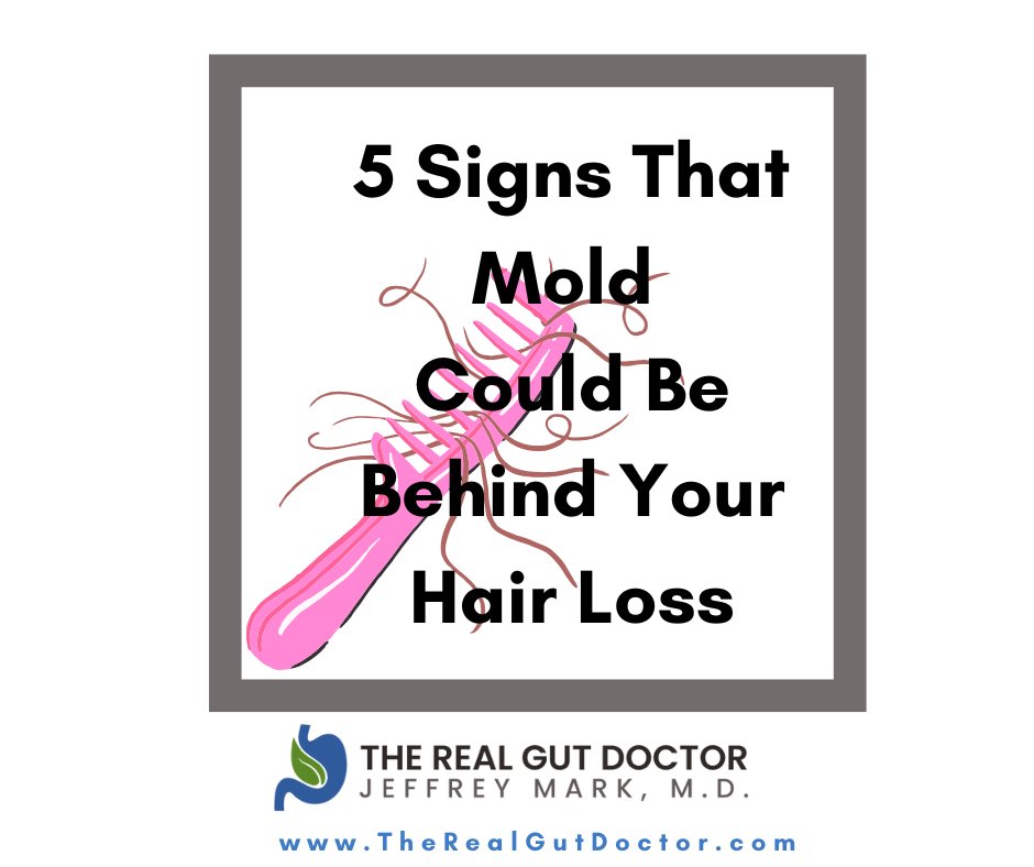 therealgutdoc's tweet photo. 1️⃣ Sudden or patchy hair thinning 
2️⃣ Unexplained fatigue or brain fog
3️⃣ Digestive issues that come and go — bloating, diarrhea, constipation
4️⃣ Sinus congestion, sore throat, or constant post-nasal drip
5️⃣ Hormonal chaos — irregular cycles, low libido, thyroid imbalances https://t.co/Z0GTGrE5tP