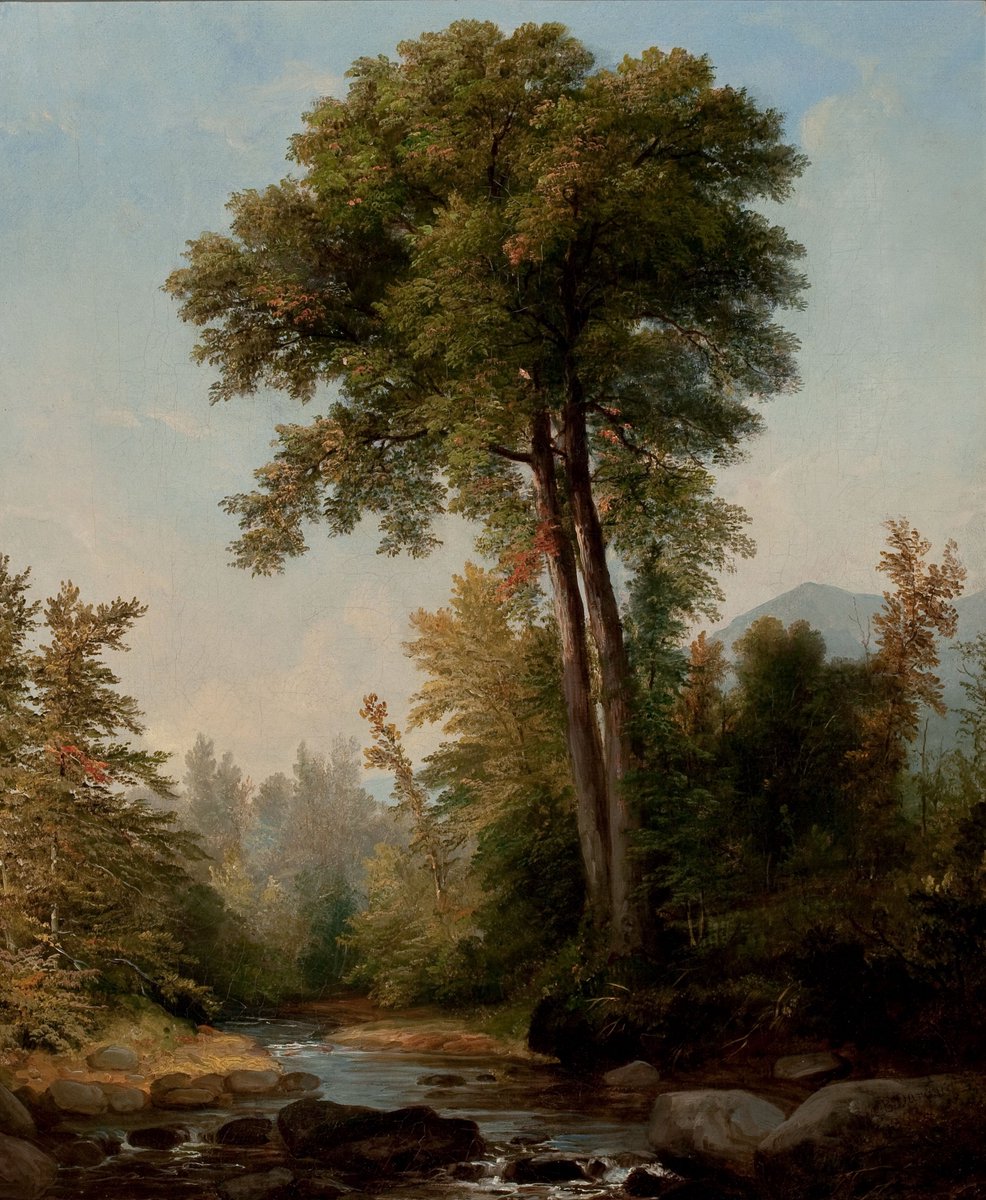 echoesofthearts's tweet photo. The beautiful nature scenes by Asher Brown Durand (1796–1886) https://t.co/CltDQdWBWi