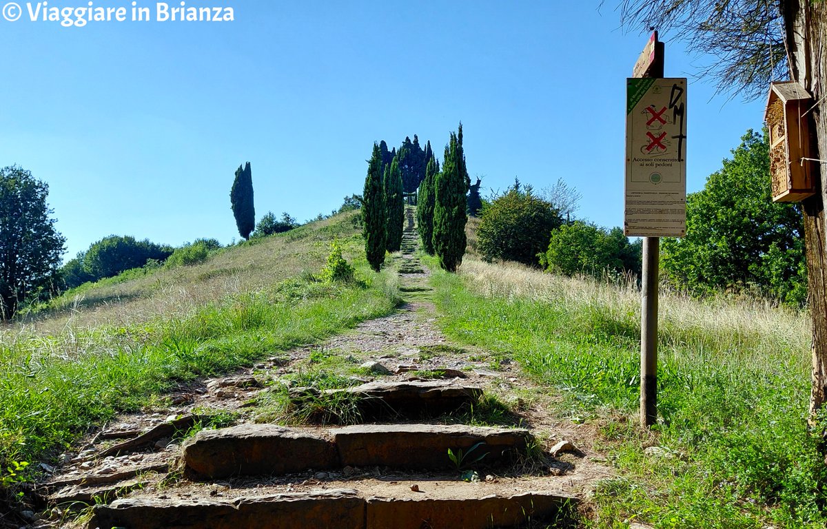 La Valletta Brianza: la Collina dei Cipressi nel Parco Regionale di Montevecchia e della Valle del Curone.

#viaggiareinbrianza