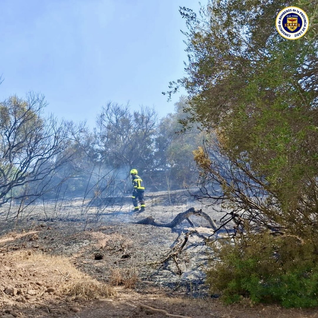 BomberosCbpc's tweet photo. 🗓️10/8/25⏰14.40h
Efectivos del #CBPC del parque #Jerez intervienen con @Plan_INFOCA en incendio forestal en #Montecastillo
En estos momentos el fuego está controlado
#GuardiaCivil desaloja algunas casas por prevención
Continuamos en el lugar
🚒 4
🧑🏼🚒12
#IFJerezDeLaFrontera https://t.co/BddSfmVoYU