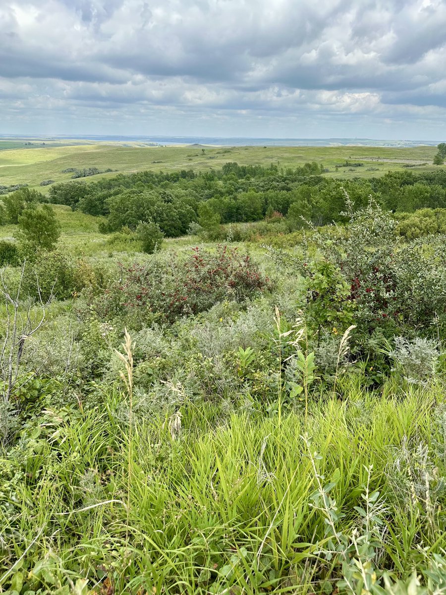 Fort Yates, North Dakota ⁦<a href="/oakridgeboys/">The Oak Ridge Boys</a>⁩ ⁦<a href="/prairieknights/">Prairie Knights</a>⁩ Casino Resorts Friday. Photos by: Golden