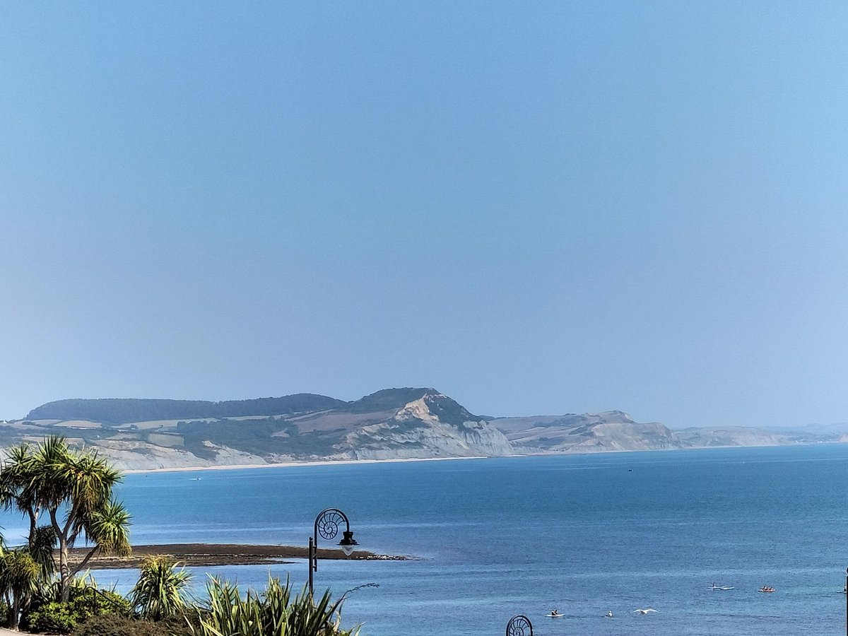 Carole Souter tweet media