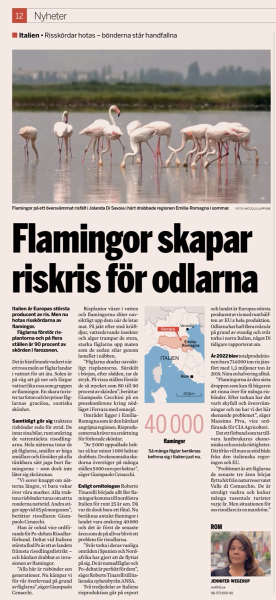 Senaste artikeln i Dagens Industri från mig från Italien.
Lägger bara ut lite jobb här då och då, jag har aldrig varit mycket på twitter och nu är jag det ännu mindre.