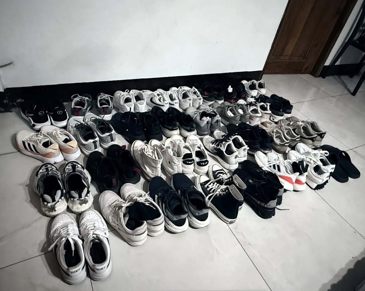 TIM 🐯 tweet media