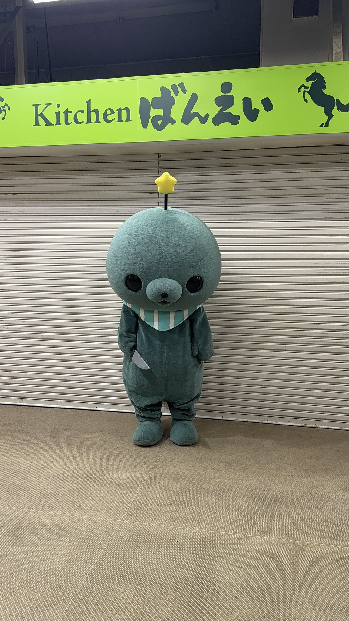 28日限定出品　教育番組　タマ　ぬいぐるみ　ポストカードあり 2025年最新】教育番組 タマ ポストカードの人気アイテム - メルカリ