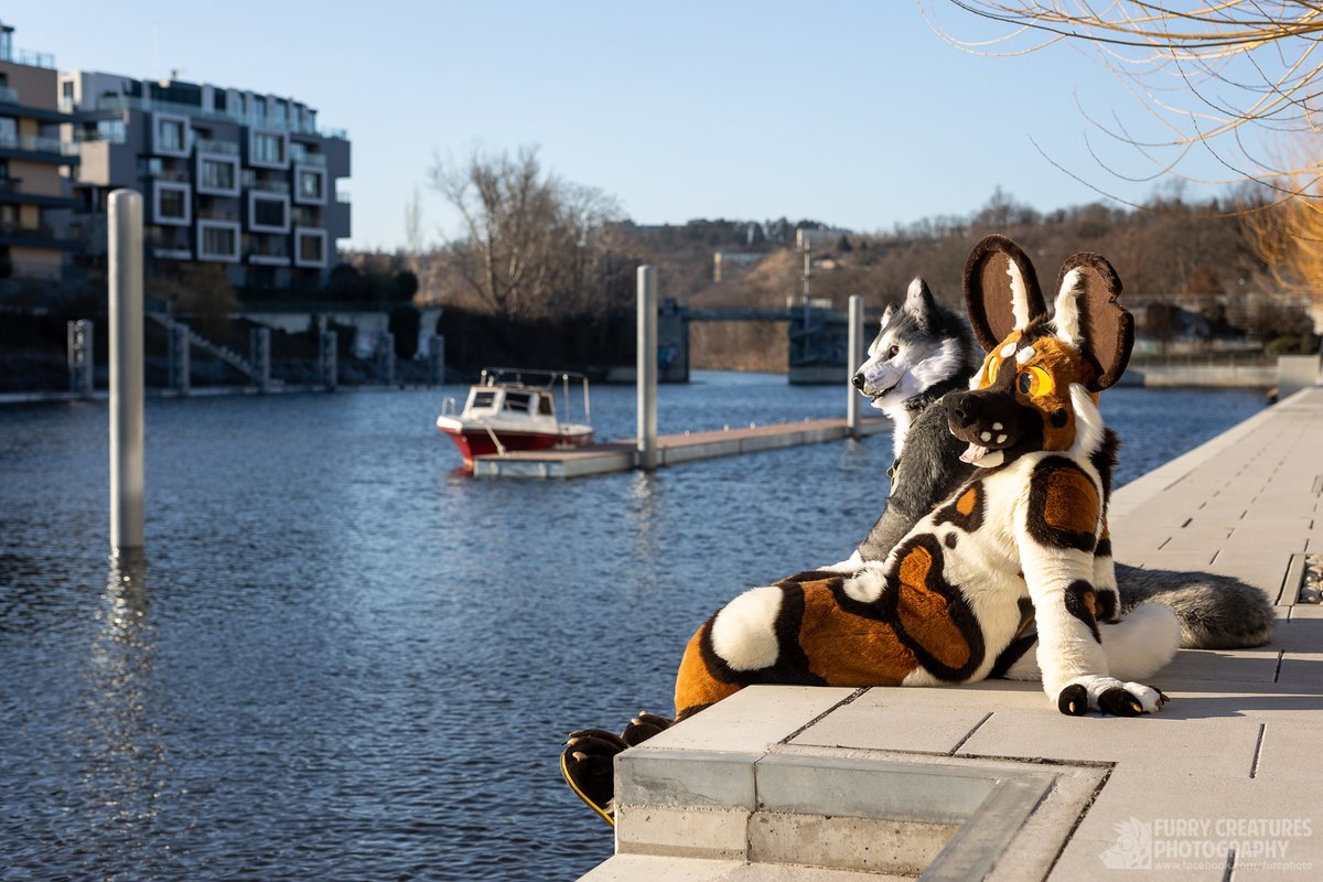 Have some calm sunday by water. Good weather (and heatwave) finally arrived to Czechia :)

🐶 <a href="/HatariAWD/">Hatari the Wild Dog</a> 
🐺 <a href="/ZenAku_wolf/">ZenAku</a> 
✂️ <a href="/WMW66Costumes/">WMW66 Costumes</a> 
✂️ <a href="/DireCreatures/">DireCreatures</a>
