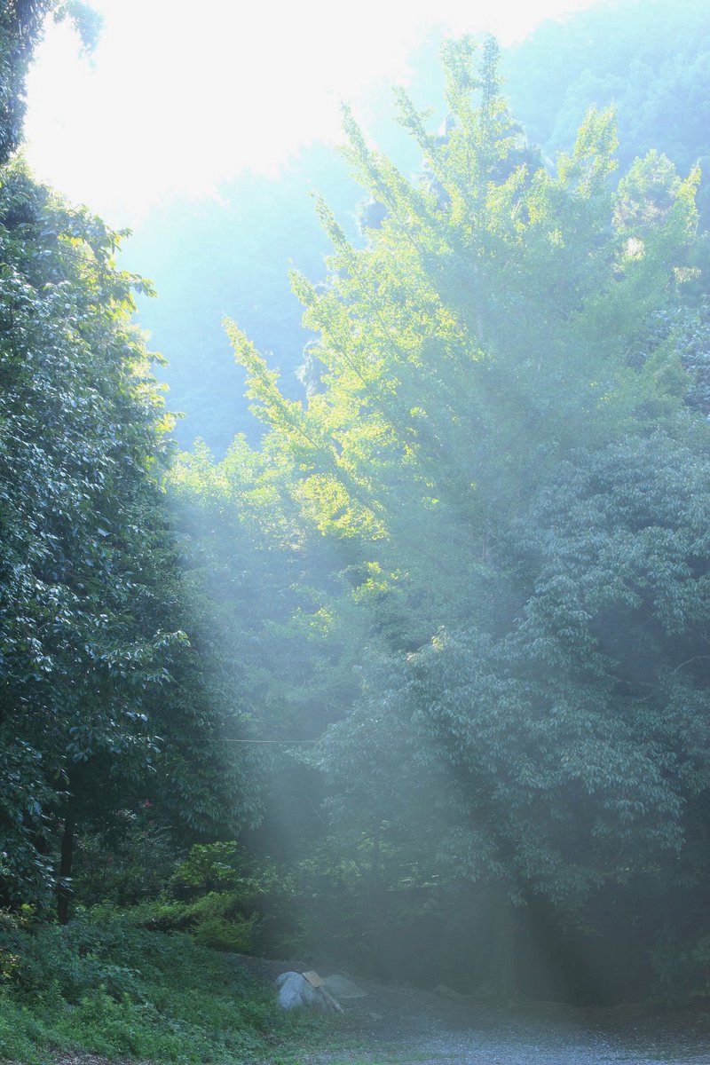 magician-Hiroshi56 FilmPhotographer📸📷🎸 tweet media