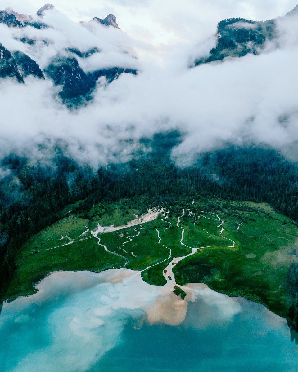 Paul Boomsma tweet media