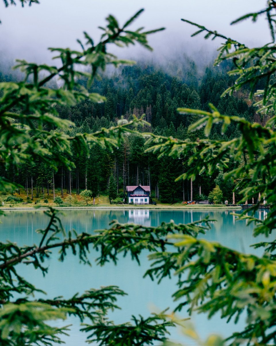 Paul Boomsma tweet media