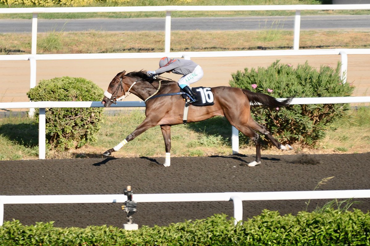 Diamond The Wings ile kazanıyoruz 🧿🧿🧿