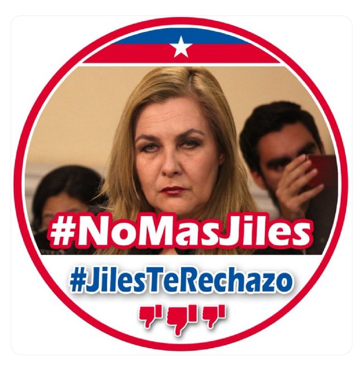 ¿La Florida, Puente Alto, La Pintana se dejarán engañar x esta cuentera de la política? Cuánto se debe reír esta mujer cuando los trató de "Nietitos" para conseguir los votos de la gente sencilla y humilde para, luego, terminar votando x y para la ultraderecha Republicana
