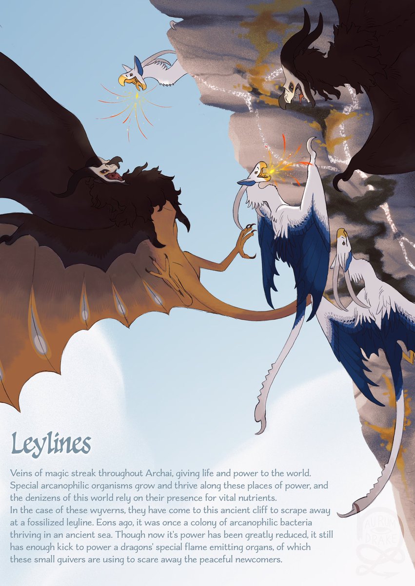 wizard ✨️🐉 @smaugust tweet media