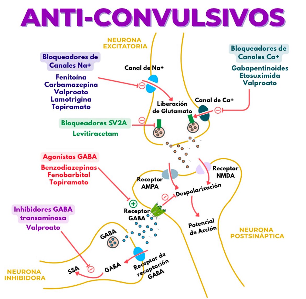 JulioFdez79's tweet photo. ANTICONVULSIVOS https://t.co/J42unlxjfl