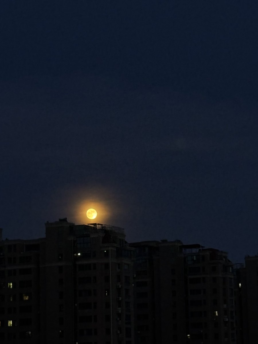 我以为大晚上的太阳出来了