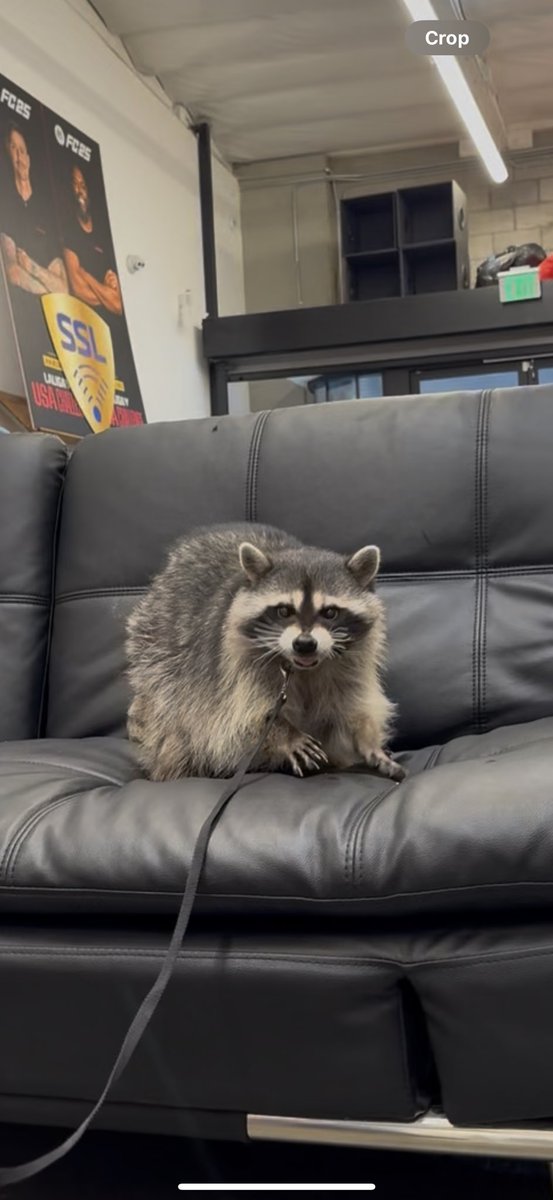 Grow a Garden IRL is OUT NOW on my YOUTUBE: Lanaslifeee !! Go check it out! This was a HUGE project hehe 💖💐
youtu.be/6W-gkjmBCmY