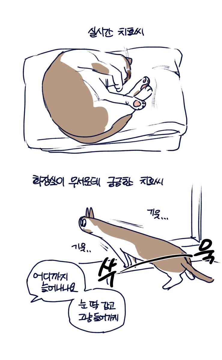 피스타치호 (@pistachih0) on Twitter photo 